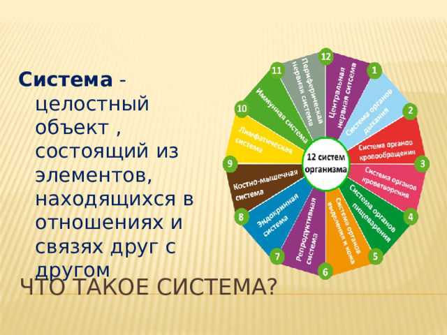 Система  - целостный объект , состоящий из элементов, находящихся в отношениях и связях друг с другом  Что такое система?