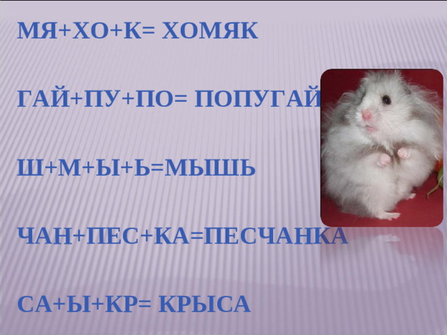 МЯ+ХО+К= ХОМЯК ГАЙ+ПУ+ПО= ПОПУГАЙ Ш+М+Ы+Ь=МЫШЬ ЧАН+ПЕС+КА=ПЕСЧАНКА СА+Ы+КР= КРЫСА