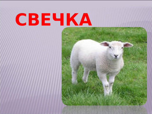 СВЕЧКА