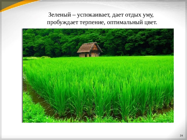 Зеленый – успокаивает, дает отдых уму, пробуждает терпение, оптимальный цвет.