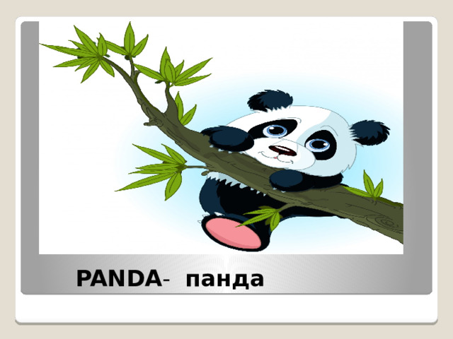 PANDA - панда