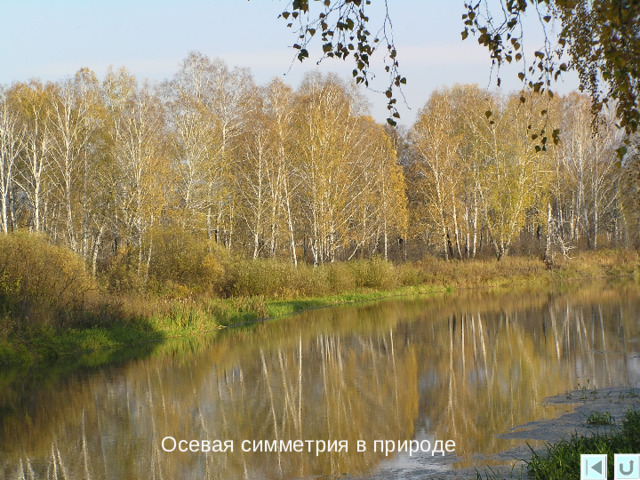 Задание 1  Известно, что точки Е и F симметричны относительно прямой m . Постройте прямую m . F Е • •