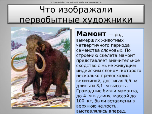 г.Усолье-Сибирское, МОУ «СОШ №2», Масленникова Г.В . Что изображали первобытные художники Мамонт — род вымерших животных четвертичного периода семейства слоновых. По строению скелета мамонт представляет значительное сходство с ныне живущим индейским слоном, которого несколько превосходил величиной, достигая 5,5 м длины и 3,1 м высоты. Громадные бивни мамонта, до 4 м в длину, массой до 100 кг, были вставлены в верхнюю челюсть, выставлялись вперед, загибались кверху и расходились в стороны