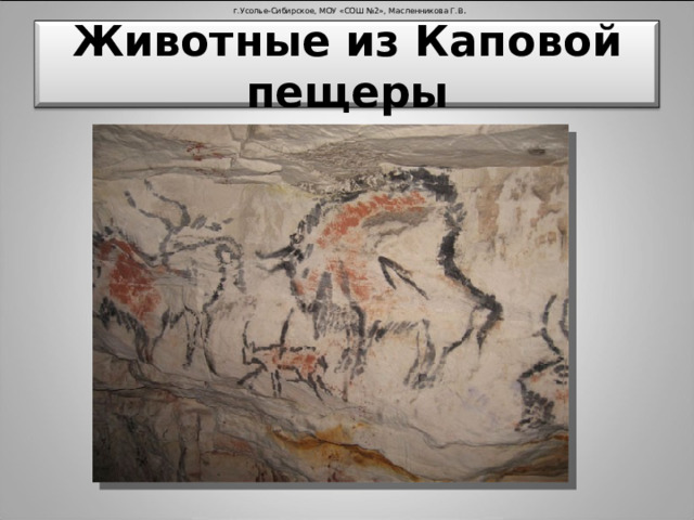 г.Усолье-Сибирское, МОУ «СОШ №2», Масленникова Г.В . Животные из Каповой пещеры