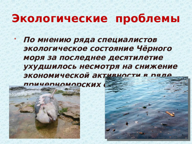 Экологические проблемы