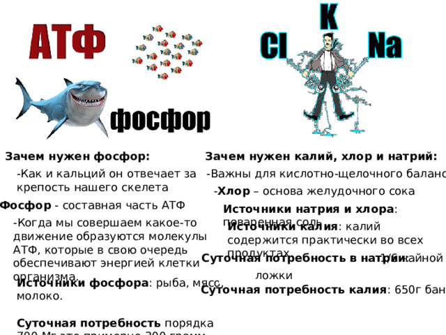 Зачем нужен фосфор: Зачем нужен калий, хлор и натрий: -Как и кальций он отвечает за крепость нашего скелета -Важны для кислотно-щелочного баланса. - Хлор – основа желудочного сока -Фосфор - составная часть АТФ Источники натрия и хлора : поваренная соль -Когда мы совершаем какое-то движение образуются молекулы АТФ, которые в свою очередь обеспечивают энергией клетки организма. Источники калия : калий содержится практически во всех продуктах. Суточная потребность в натрии : 1/6 чайной ложки Источники фосфора : рыба, мясо, молоко. Суточная потребность порядка 700 Мг это примерно 300 грамм рыбы. Суточная потребность калия : 650г бананов