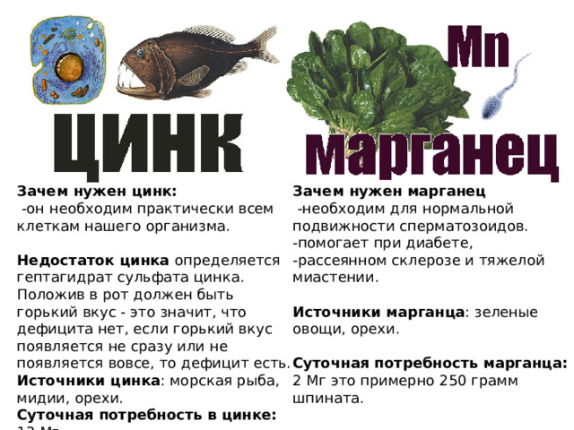 Зачем нужен цинк: Зачем нужен марганец  -он необходим практически всем клеткам нашего организма.  -необходим для нормальной подвижности сперматозоидов. -помогает при диабете, Недостаток цинка определяется гептагидрат сульфата цинка. Положив в рот должен быть горький вкус - это значит, что дефицита нет, если горький вкус появляется не сразу или не появляется вовсе, то дефицит есть. -рассеянном склерозе и тяжелой миастении. Источники цинка : морская рыба, мидии, орехи. Источники марганца : зеленые овощи, орехи. Суточная потребность в цинке: 12 Мг Суточная потребность марганца: 2 Мг это примерно 250 грамм шпината.
