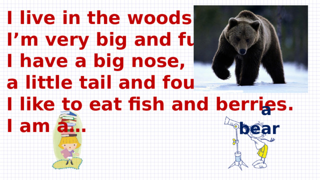 I live in the woods.  I’m very big and furry.  I have a big nose,  a little tail and four legs.  I like to eat fish and berries.  I am a…    a bear