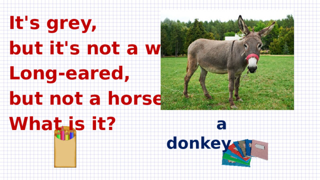 It's grey, but it's not a wolf, Long-eared, but not a horse, What is it?  a donkey