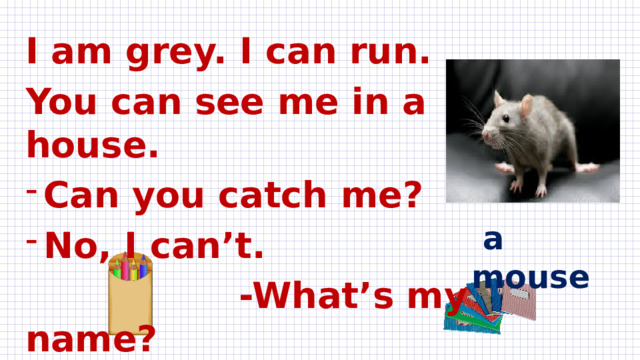 I am grey. I can run. You can see me in a house. Can you catch me? No, I can’t.  -What’s my name?  -You’re a ………….!  a mouse
