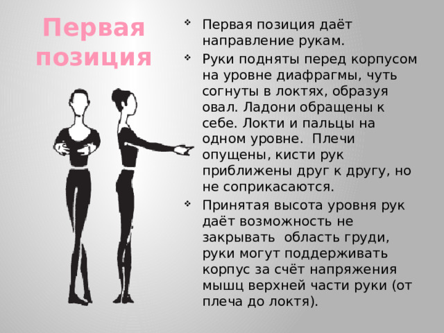Первая позиция даёт направление рукам. Руки подняты перед корпусом на уровне диафрагмы, чуть согнуты в локтях, образуя овал. Ладони обращены к себе. Локти и пальцы на одном уровне. Плечи опущены, кисти рук приближены друг к другу, но не соприкасаются. Принятая высота уровня рук даёт возможность не закрывать область груди, руки могут поддерживать корпус за счёт напряжения мышц верхней части руки (от плеча до локтя).