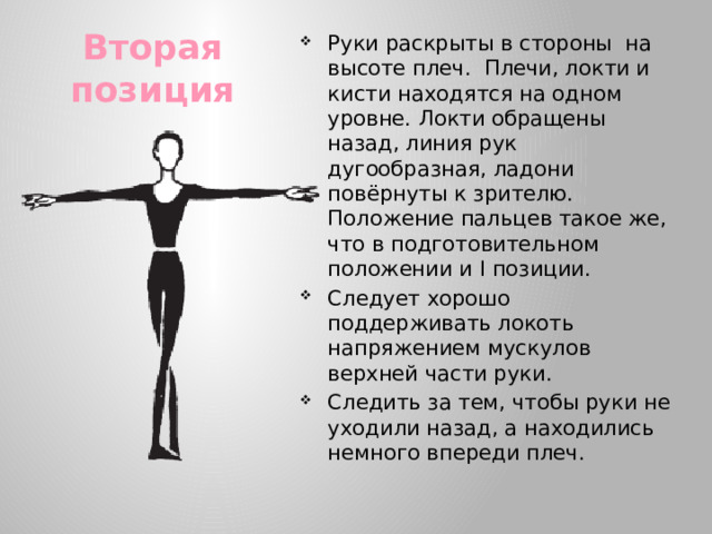 Вторая позиция